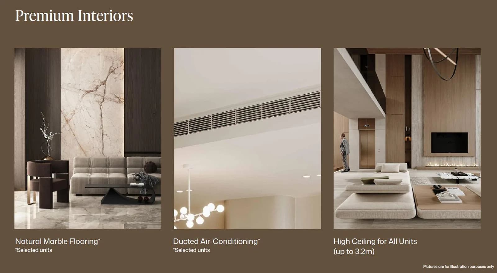Gallery - Amberwood Chinese SK (Fast Info) - p18 - p18 gallery 8